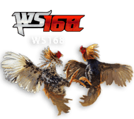ws168 KMPTOTO